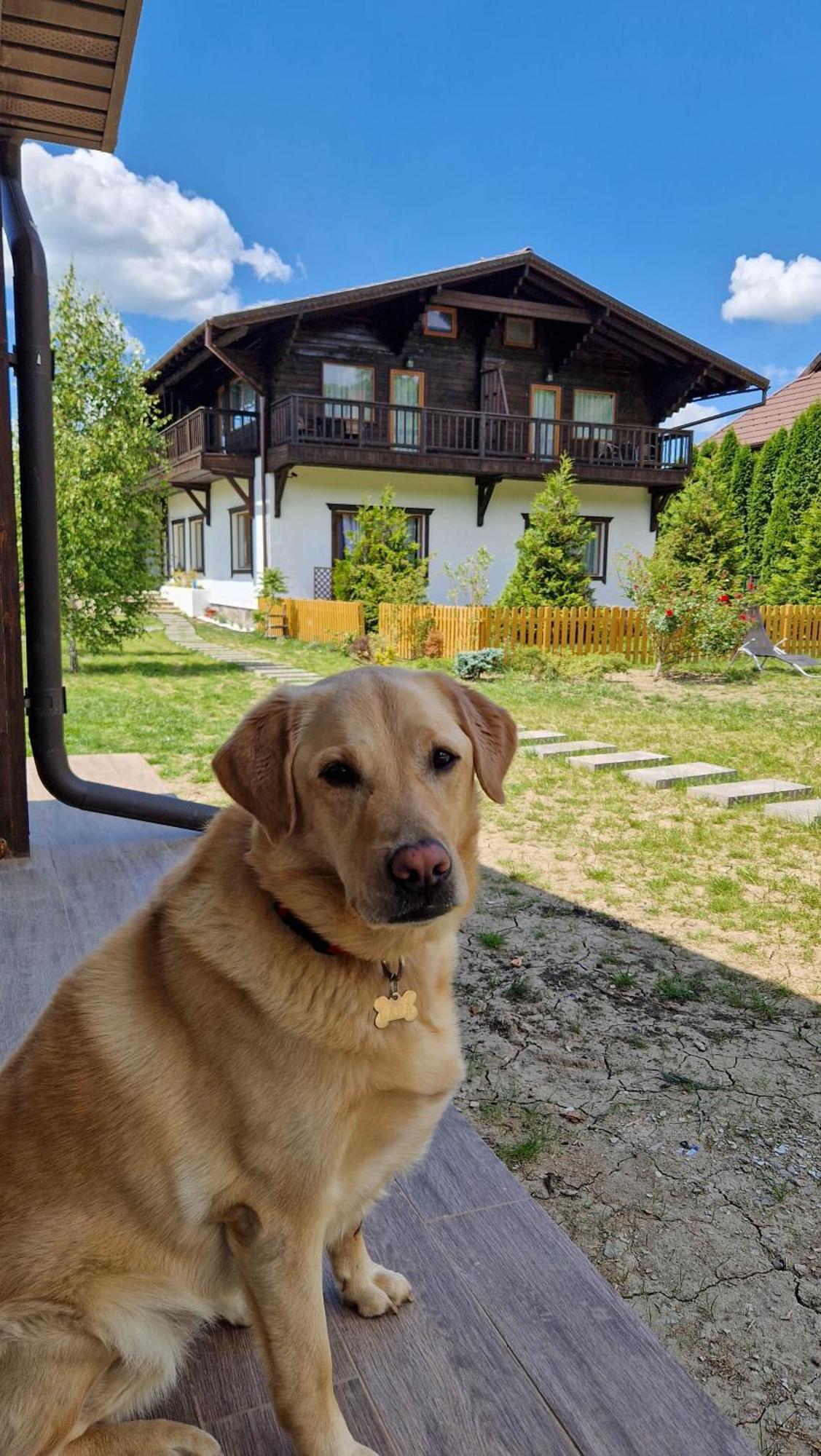 Refugiul Domnitei Hotel Bran  Exterior photo